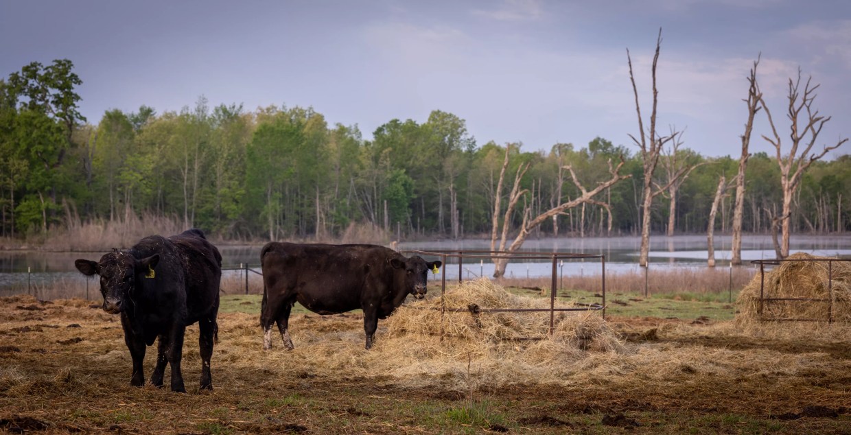 Dozens Gather In North Texas To Oppose Marvin Nichols Reservoir, Again